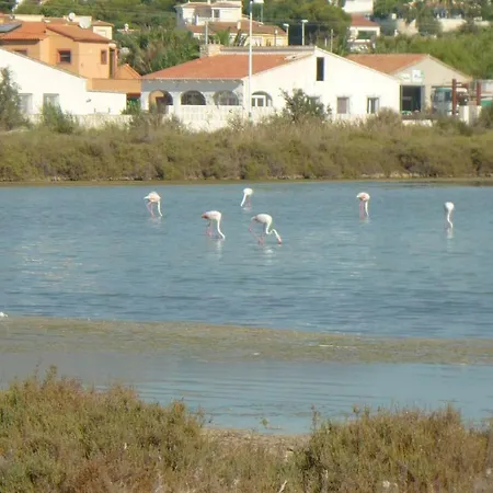Apartment Panorama *