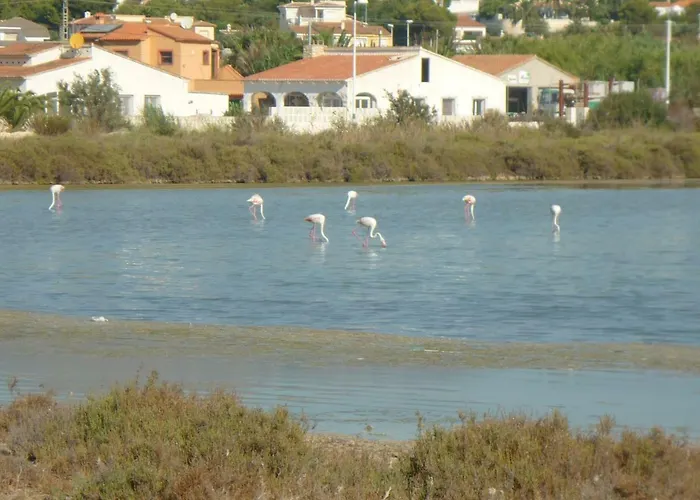 Apartment Panorama *